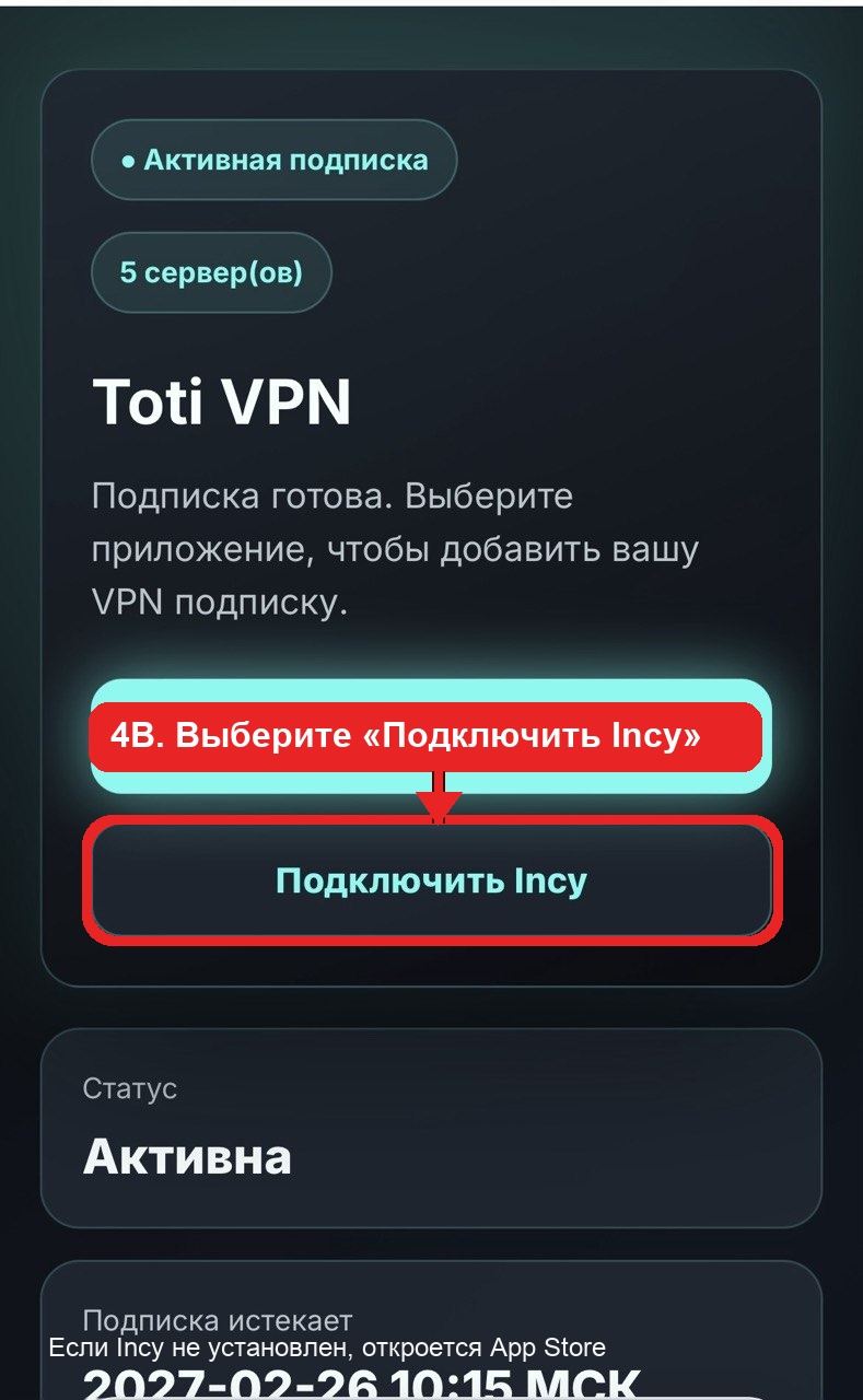 Скриншот инструкции iOS