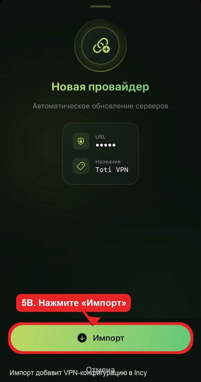 Скриншот инструкции iOS
