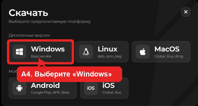 Скриншот инструкции Windows